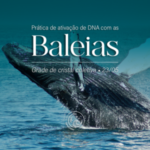 Prática de ativação de DNA com as baleias